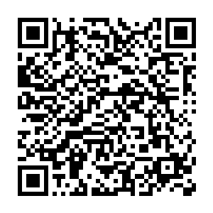 在斗战台多年他们没有听过斗战台除了他们以外还有修真者的存在二维码生成