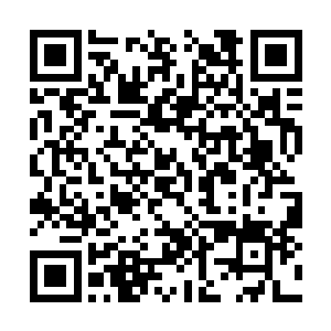 在无形当中风天翔已经成为了这次营救行动的主导二维码生成