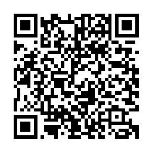 在无数年来修真界历史中都从未出现过威力如此强大的道尊天劫二维码生成