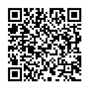 在熊熊烈焰里被烧成癞蛤蟆的秦义的面孔融合到了一起二维码生成