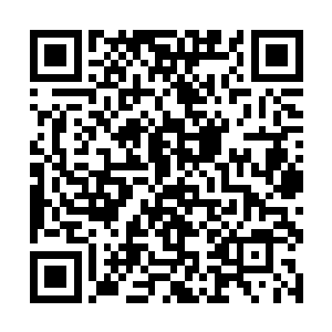 在狼人中流传的那个什么传说是真是假根本就不重要二维码生成