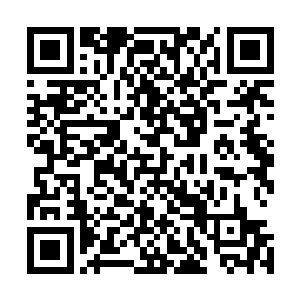 在生命的最后一刻他们终于明白了他们惹上了什么样的人物二维码生成