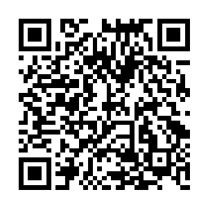 在看到丁长生为了自己而抱不平和生气的样子时二维码生成
