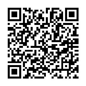 在知道蓝舟无人见过他的真容时她便觉的……实在太浪费了二维码生成