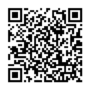 在神域三千界的每一个巨大金色卷轴之下都在推行二维码生成