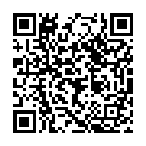 在翠微居为最近火爆模特界的小明星李思桐过生日二维码生成