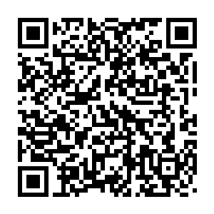在走动中随风飘舞的红色裙摆便是将她修长的小腿完全裸露了出来二维码生成