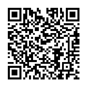 在距离山顶上捧山真人他们差不多一公里的距离内就停下了脚步二维码生成