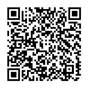 在这个月的十五林封谨本来也打算尝试一下看看有没有可能遇到其余的妖命者的二维码生成