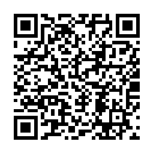 在这地下世界真正能做主的是天后夏侯承宇身后的夏侯家族二维码生成