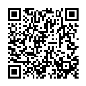 在这曼陀罗华之盾上还浮现出几道大小不一的裂纹二维码生成