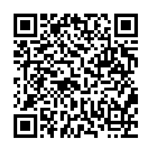 在这茫茫大海上一只木筏哪怕再大也和一片落叶没什么区别二维码生成