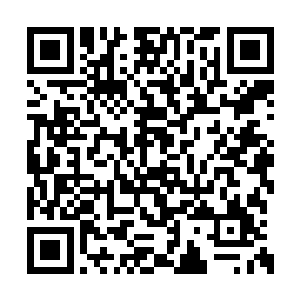 坐在案后的苗毅只是拿了清单看了看东西的总数二维码生成