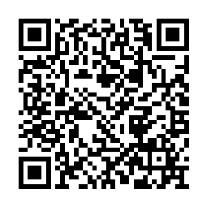 城主们通过光幕看到了一只展翅翱翔的血色凤凰二维码生成