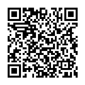 城堡的四周只在大门口设置了一个木建的了望塔二维码生成