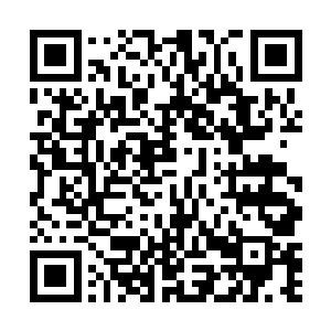 城堡里所有生活的都是围绕着学习学习再学习而展开的二维码生成