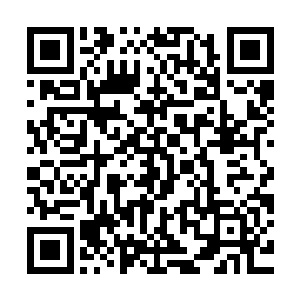 塞尔内家族的那些人就算想把这里管理得严格精细一点也不可能二维码生成