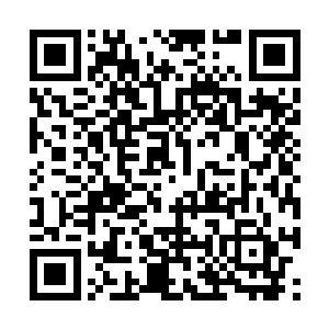 墨斗线就缠绕上了悬浮在半空中的飞头降们的肠肚二维码生成