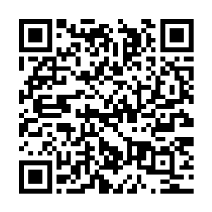 墨景黎就觉得心中仿佛有一条毒蛇在狠狠地噬咬着二维码生成