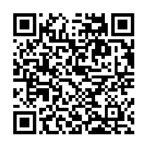 夏云杰指使金蝉蛊吸了沈子良的鲜血以便晚上回家施法之用二维码生成