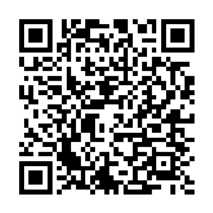 夏老师你究竟是通过什么办法能让你的学生这么拥戴你二维码生成