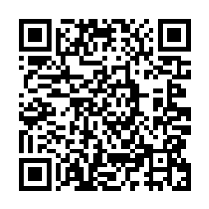外露的皮肤上同样缠绕着一缕缕可以瞬间交换信息的光丝二维码生成