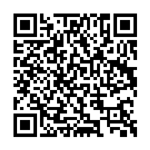 多伦多的家里依旧是索菲亚大婶和帕罗夫在照料二维码生成