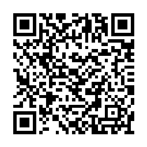 多半跟你得到的雷法传承和演武楼的淬炼有关吧二维码生成