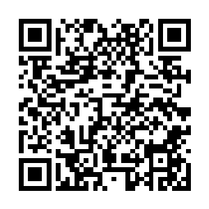 大家似乎都从掌门的身上感受到了一种无形的压力二维码生成