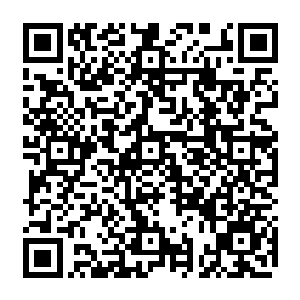 大家用肉眼就能看到笼罩在一片雨雾之中的惠安城到处都透着一股宛如坟墓的气息二维码生成