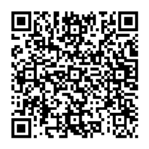 大月氏生活了这么多年的草原和现实之中的环境只不过是用了一个幻术就阻隔了出来二维码生成