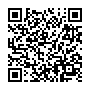 大楚皇室收藏的这一件便是世间唯一的意见雪缕衣二维码生成