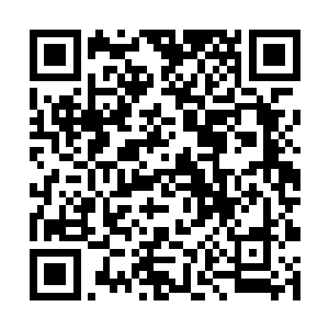 大统领初来乍到没站稳脚时他们都不是大统领的对手二维码生成