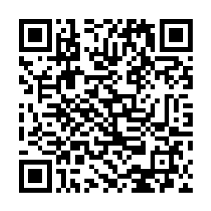 大统领夏侯龙城亲自设宴款待东华总镇府的另七位大统领二维码生成