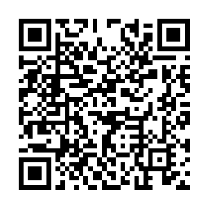 大量的网络传媒一起播发了牟晨菲慎重其事的声明二维码生成