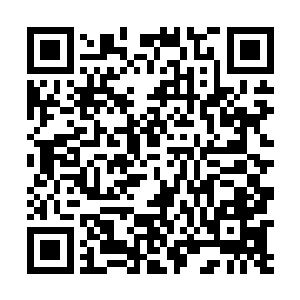 天元星天街发生的事情瞒不过东华总镇府的二管家兰香二维码生成