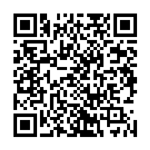 天庭一直睁一只眼闭一只眼不敢轻易跟我们家撕破脸也没错二维码生成