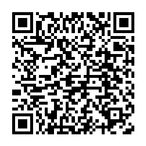 天街总镇如此实缺哪怕是权贵子弟也是不可能在金莲境界便爬上去的二维码生成
