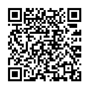 天赋不代表他们可以从年轻的时候就一路无敌下去二维码生成