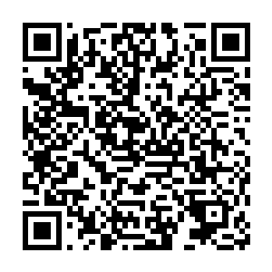 奥林匹斯竟然破解了当年佛门以西方极乐世界之力所布置的转轮封印二维码生成