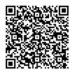 奶奶不至于因为司凛的到来而迁怒到蓝梦的身上啊……莫非是叶妩和司凛说了什么不该说的二维码生成