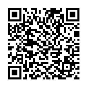 她住到皇宫里即便有目的也不会做出有损南淮国之事二维码生成