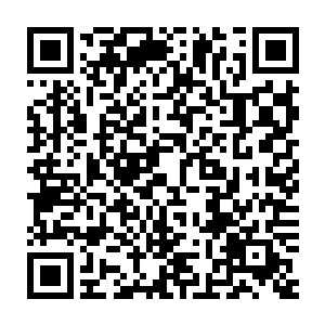 她倔强的在满地纸张的地面上爬行的举动深深刺痛着连俢肆的双眸二维码生成