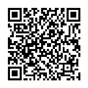 她只是按照最古板的修炼条件去判断林烽带回来的这些人二维码生成