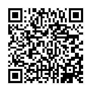 她和杨肖玫几乎同时回想起了约瑟夫暗中用枪指着斯科拉的事情二维码生成