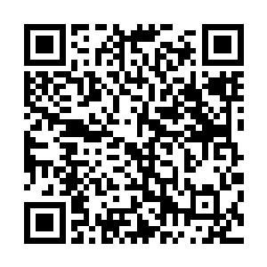 她并不怀疑卯荼曾经说过的他们龙族对子嗣对于纯血的看中二维码生成