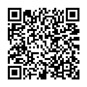 她想不明白为什么踏雪无痕墨角腾云兽看到她时表情会那样奇怪二维码生成