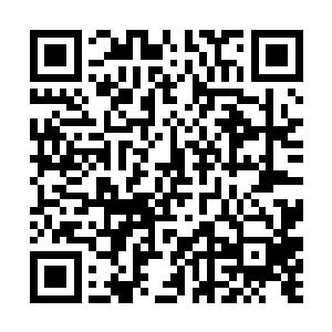 她才有幸看到了这辈子所看到过的最不可思议的一幕二维码生成