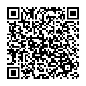 她早已不是当年的那个为了墨景黎不管不顾的追到大楚的南诏公主了二维码生成