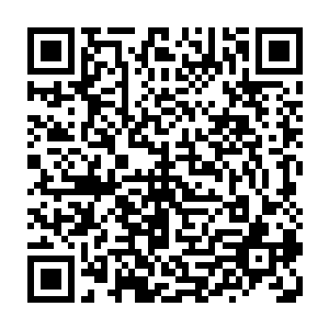 她现在看到木萦拿出的东西后就一下子认出了这个东西和师兄所说的一模一样二维码生成